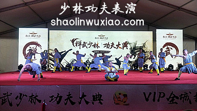 嵩山少林寺功夫表演南阳西峡站Shaolin KungFu Show in Nanyang
