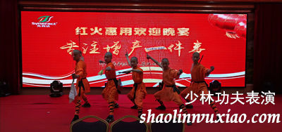 嵩山少林寺功夫表演新郑站Shaolin Kung Fu Performance in Xinzheng