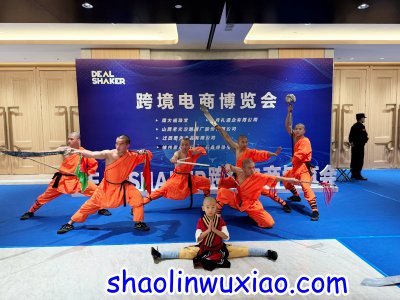 河南少林武术表演 Henan Shaolin Martial Arts Performance